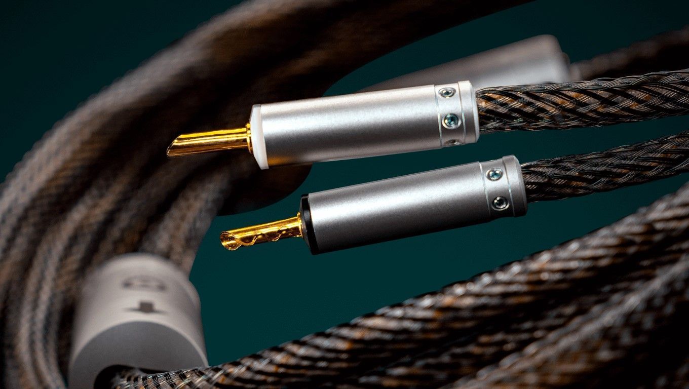 Акустический кабель Ansuz Acoustics Speakz D2 2.0m