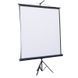 Проекционный экран ATRIA TRM-NTSC-100D 100" 203x153см