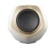 Сабвуфер Bang & Olufsen Beolab 19 AL2 Gold tone