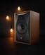 Полочная акустика MoFi SourcePoint 8 Walnut