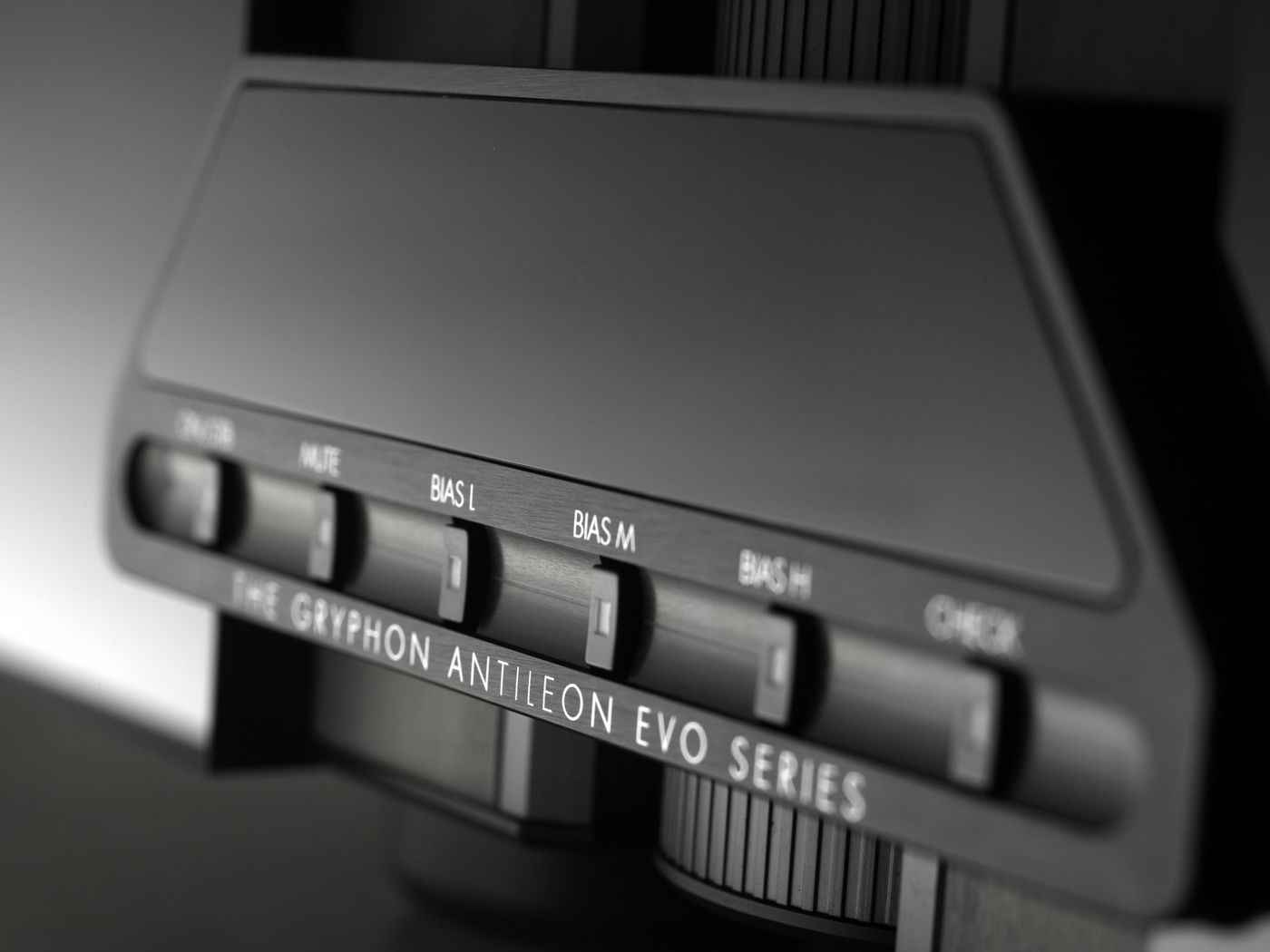 Підсилювач потужності Gryphon Audio Antileon EVO Mono