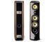 Напольная акустика Focal SPECTRAL 40th Black - Oak