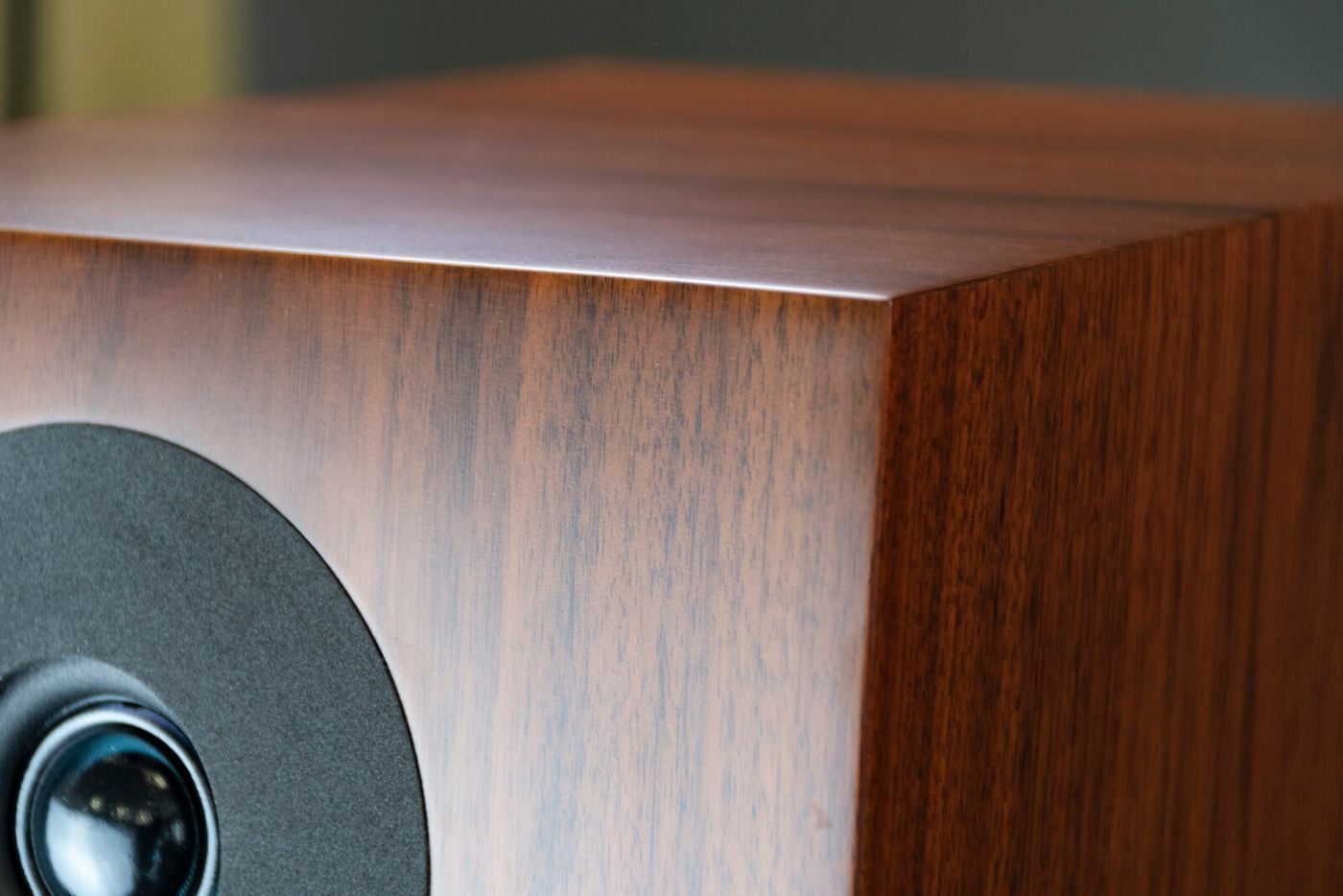Акустика Davis Acoustics Courbet 8 Walnut