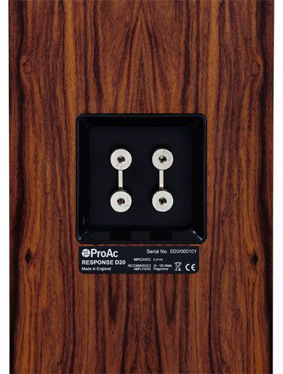 Напольная акустика ProAc Response D20 R Black Ash