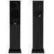 Напольная акустика ProAc Response D20 R Black Ash