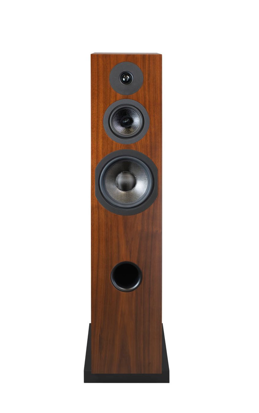 Акустика Davis Acoustics Courbet 8 Walnut
