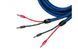 Акустичний кабель Cardas Clear Cygnus 2,5m pair