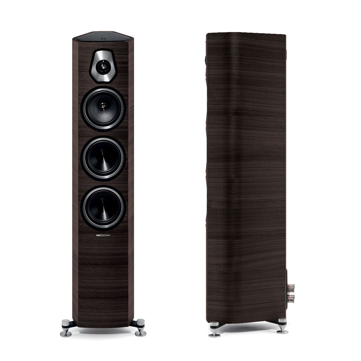 Напольная акустика Sonus Faber Sonetto III Wenge