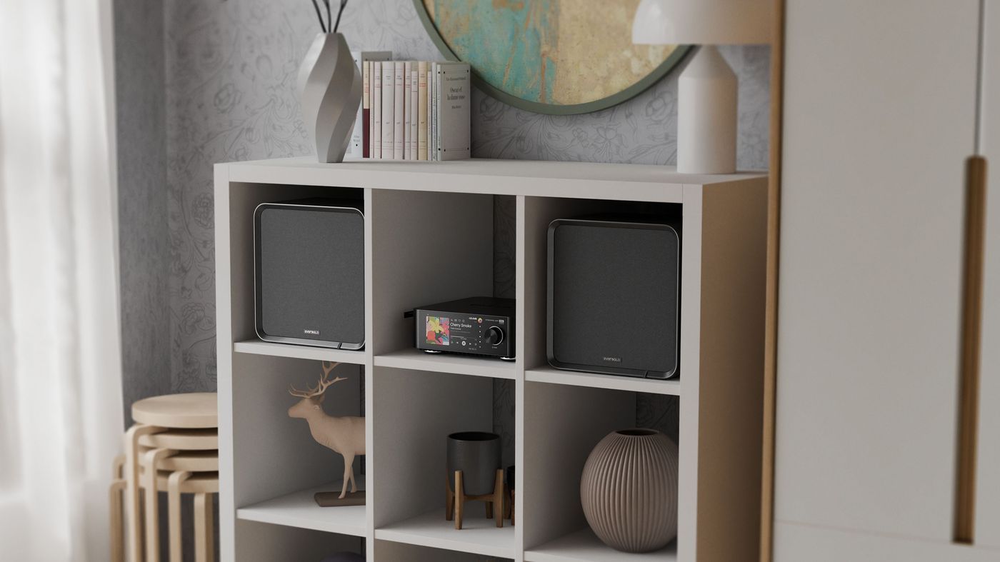 Акустика Eversolo SE100