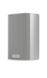 Акустика Piega Ace 30 Wireless RX Silver (secondary speaker)