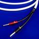 Акустичний кабель CHORD C-screenX CUSTOM Speaker Cable 3м