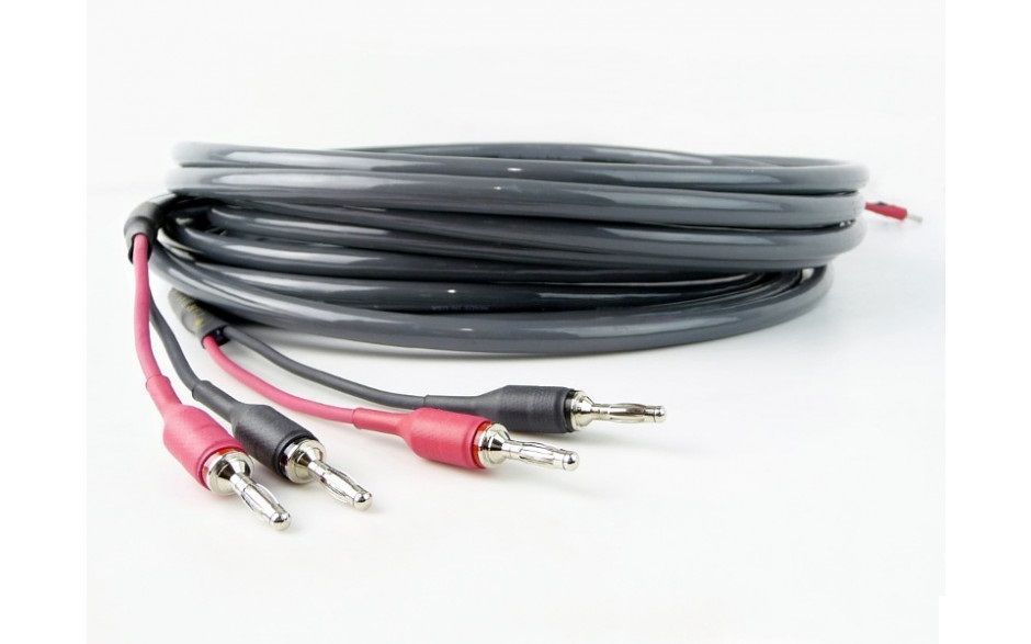 Акустичний кабель Cardas Twinlink 2,5m pair