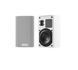 Акустика Piega Ace 30 Wireless RX White (secondary speaker)