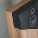 Акустика Davis Acoustics The Wall Walnut